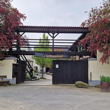 Moderne Ferienwohnung Black Beauty Auf Idyllischem Reiterhof Naehe Burg Eltz Münstermaifeld 외부 사진