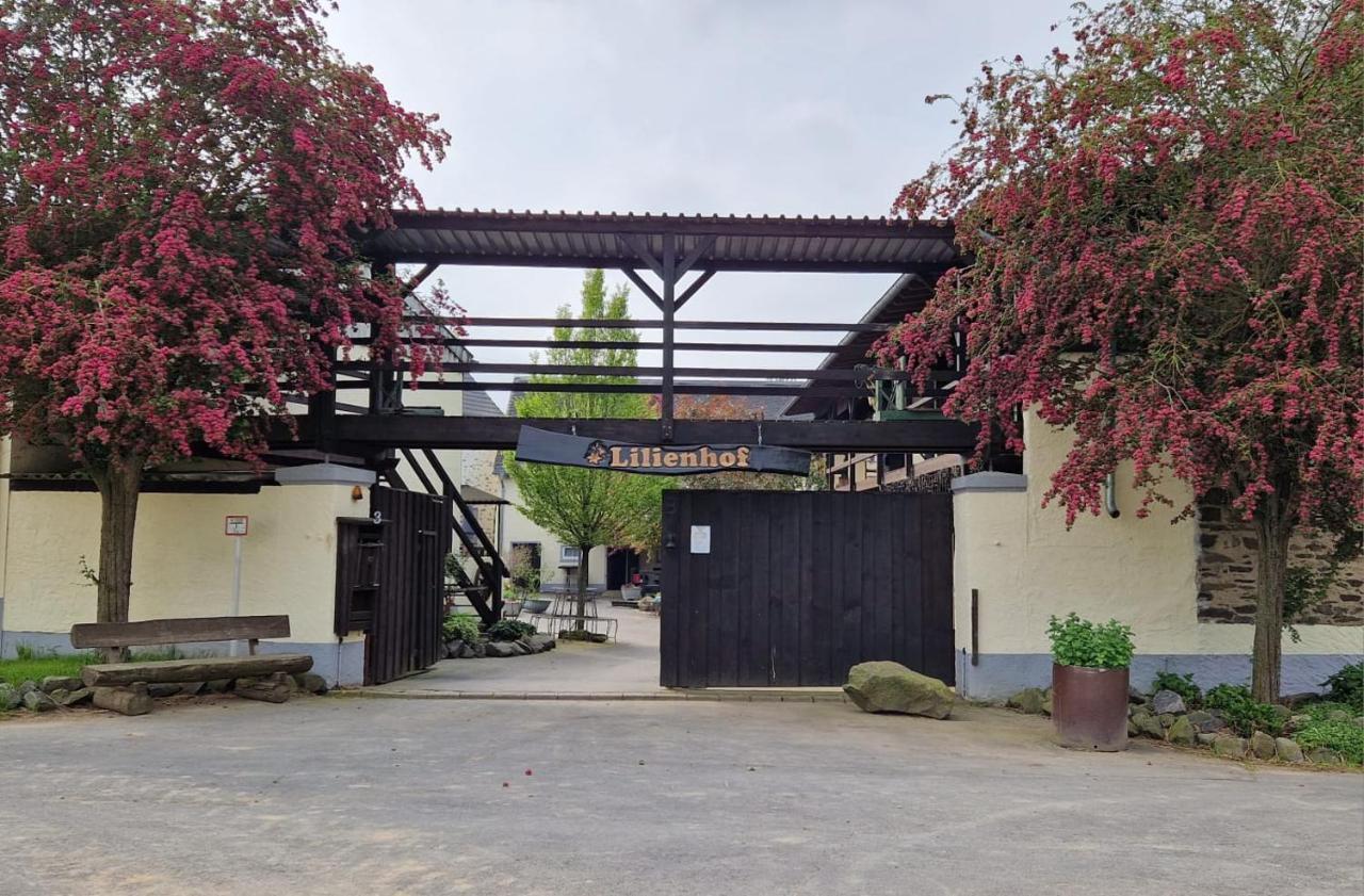 Moderne Ferienwohnung Black Beauty Auf Idyllischem Reiterhof Naehe Burg Eltz Münstermaifeld 외부 사진
